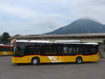 (226'700) - PostAuto Bern - BE 653'384 - Mercedes am 24.