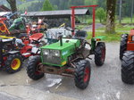 (171'473) - Wiesel am 28.