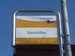 (223'869) - Grindelwald Bus-Haltestelle - Grindelwald, Steinbillen - am 28.