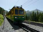 (237'238) - WAB-Pendelzug - Nr.