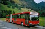 (080'315) - LVB Lenk - Mercedes/Hess (ex ZVB Zug Nr.