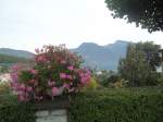 (147'373) - Das Schloss Spiez am Thunersee am 28.