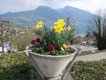 (215'295) - Das Schloss Spiez durch die Blumen am 20.