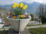 (215'296) - Das Schloss Spiez durch die Blumen am 20.