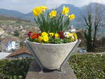 (215'297) - Das Schloss Spiez durch die Blumen am 20.