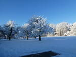 (245'190) - Winter in Thun-Lerchenfeld am 19.