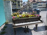 (273'774) - Flgel mit Blumen am 9.