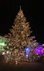(282'397) - Weihnachtsbaum am 14. November 2025 auf dem Thuner Rathausplatz