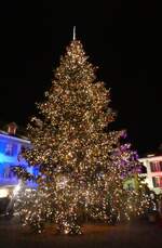 (282'398) - Weihnachtsbaum am 14. November 2025 auf dem Thuner Rathausplatz