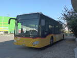 (219'548) - CarPostal Ouest - VD 615'808 - Mercedes am 9.