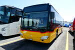 (287'320) - PostAuto Bern - Nr. 14/BE 669'367/PID 10'120 - Mercedes (ex Thepra, Stans Nr. 20) am 25. Mai 2026 in Kerzers, Interbus