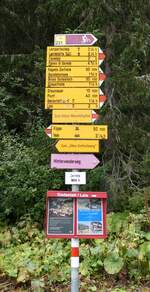 (280'164) - Wanderwegweiser am 9.
