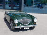 (180'883) - Austin-Healey -  AH 100  - am 28.