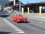 (206'123) - Jaguar - LU 134'565 - am 8.