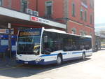 (202'851) - Auf der Maur, Steinen - Nr. 249/SZ 5440 - Mercedes am 22. Mrz 2019 beim Bahnhof Arth-Goldau