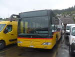 (228'160) - PostAuto Ostschweiz - SG 304'011 - Mercedes am 19.