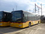 (214'346) - CarPostal Ouest - VD 259'922 - Mercedes am 16.