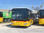 (215'217) - CarPostal Ouest - VD 259'920 - Mercedes am 15.