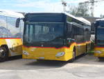 (217'817) - CarPostal Ouest - VD 205'664 - Mercedes am 13.