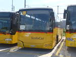 (219'055) - CarPostal Ouest - VD 529'496 - Temsa (ex TMR Martigny Nr.