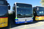 (286'368) - PostAuto Nordschweiz - BL 154'229/PID 12'420 - Mercedes (ex TPL Lugano Nr.