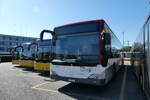 (286'376) - CarPOstal Ouest - Nr.