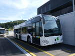 (266'498) - Maag, Kloten - Nr. 31/ZH 590'931 - Mercedes am 31. August 2024 in Winterthur, Daimler Buses