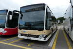 (281'178) - AZZK Zollikon - Nr. 79/ZH 166'179 - Mercedes am 10. Oktober 2025 in Winterthur, Daimler Buses