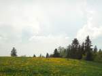 (133'514) - Hinterarnialp am 30.