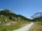 (146'235) - Auf der Fafleralp am 5. August 2013