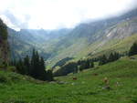 (195'977) - Ausblick vom Rychebrgli am 28.