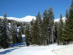 (229'999) - Winterlandschaft am 6.