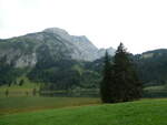 (252'253) - Am Lauenensee am 26. August 2023 bei Lauenen