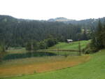 (254'254) - Am Lauenensee am 26. August 2023 bei Lauenen