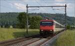 EW IV Steuerwagen voraus schiebt eine Re 460 bei Bettenhausen einen Schnellzug.