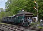 Shuttleservice beim Brauereifest Feldschlösschen. 

Das werkseigene Chnurrli E 2/2 5666 mit den Sihlthaler Plattform-Zweiachsern und E 3/3 8512 sind als Pendelzug unterwegs. Rheinfelden, April 2023.