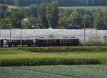 Und da kommt der erwartete Zug, berraschend lang mit dem Apfelsaftexpress Be 3/4 43 'Tino', dahinter C2 5820 'Thurgauer Stube' durch Buchs ZH nach Otelfingen. Juli 2023.