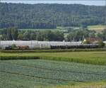 Und da kommt der erwartete Zug, berraschend lang mit dem Apfelsaftexpress Be 3/4 43 'Tino', C2 5820 'Thurgauer Stube', dem mir bis dato unbekannten Dynamometerwagen Xd4 99701, dem Transportgut, einem