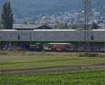 tm-232-tm-iv-4/822065/das-transportgut-ist-bi-369-ein Das Transportgut ist Bi 369, ein Wagen der Genfer Strassenbahn und am Zugschluss der Tm IV 232 164 durch Buchs ZH nach Otelfingen. Juli 2023.