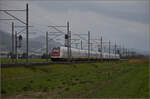 Auf der Schweizer Gäubahn. 

RABDe 500 040 'Graf Zeppelin' und RABDe 500 011 'Blaise Cendrars' unterwegs Richtung Biel. Onsingen, Oktober 2024.