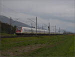 Auf der Schweizer Gäubahn. 

RABDe 500 040 'Graf Zeppelin' und RABDe 500 011 'Blaise Cendrars' unterwegs Richtung Biel. Onsingen, Oktober 2024.