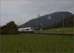 Auf der Schweizer Gäubahn. 

RABDe 500 040 'Graf Zeppelin' und RABDe 500 011 'Blaise Cendrars' unterwegs Richtung Biel. Onsingen, Oktober 2024.