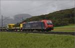 Auf der Schweizer Gäubahn. 

Re 484 020 'Gut auf der Schiene' ist mit einigen Bauwagen ostwärts unterwegs. Onsingen, Oktober 2024.