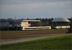 RABe 523 051 im Dünnerenfeld. Oensingen, August 2025.