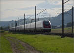 RABDe 500 036 'Minister Kern' und RABe 500 009 'Friedrich Dürrenmatt' im Dünnerenfeld. Oensingen, August 2025.