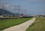 RABDe 500 036 'Minister Kern' und RABe 500 009 'Friedrich Dürrenmatt' bei Neumatten, Oberbuchsiten. August 2025.