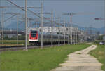RABDe 500 008 'Vincenzo Vela' und RABDe 500 001 'Jean Piaget' bei Neumatten, Oberbuchsiten. August 2025.