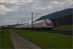RABDe 500 021 'Jeremias Gotthelf' und RABDe 500 005 'Heinrich Pestalozzi' im Dünnerenfeld. Oensingen, August 2025.