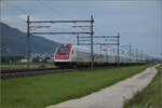 RABDe 500 021 'Jeremias Gotthelf' und RABDe 500 005 'Heinrich Pestalozzi' bei Neumatten, Oberbuchsiten. August 2025.