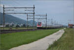 RABDe 500 021 'Jeremias Gotthelf' und RABDe 500 005 'Heinrich Pestalozzi' bei Neumatten, Oberbuchsiten. August 2025.